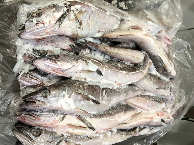 whole hubbsi hake